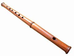 Image result for Lizzo Flute Transparent PNG
