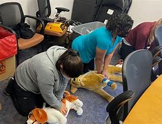 Image result for CPR Pets Recover