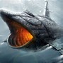 Image result for Cool Shark Pictures