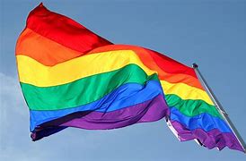 Image result for Rainbow Flag