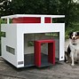 Image result for Biggest Dog House in the World