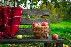 Image result for Fall Apples Basket Wallpapers