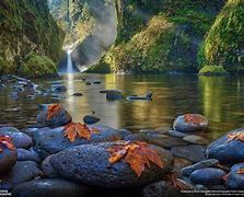 Image result for naturaleza