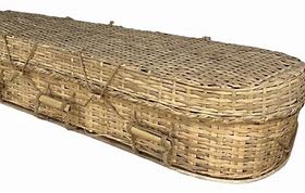 Image result for Log Coffin