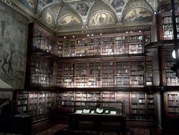 Image result for Gothic Manor Library Artwork