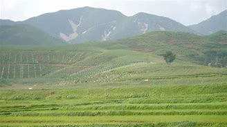 Image result for North Korea Land