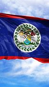 Image result for Belize Flag
