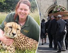 Image result for Zookeeper Rosa King