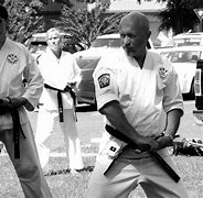 Image result for Martial Arts'