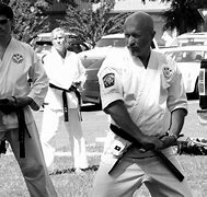 Image result for Karate Types