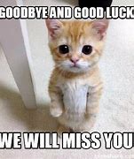 Image result for Good Luck We Will Miss You Meme