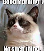 Image result for Happy New Year Grumpy Cat Meme