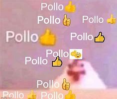 Image result for Pollo Chicken Meme