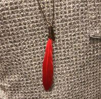 Image result for Necklace with Jewel D Feather at the End