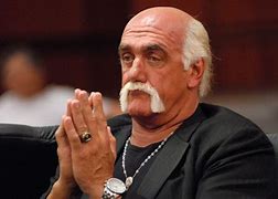 Image result for Hulk Hogan 80s Cartoon