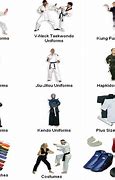 Image result for Martial Arts Types
