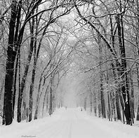 Image result for Winter iPad Wallpaper