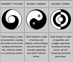 Image result for Tai Chi Diagram