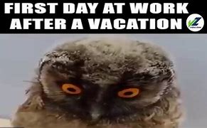 Image result for Return From Vacation Meme