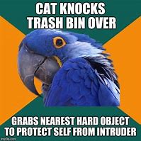 Image result for Cat Lady Bin Meme
