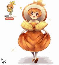 Image result for Torchic Human
