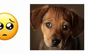 Image result for Puppy Eyes Emoji Android
