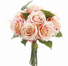 Image result for Flowers Peach and Pink Roses