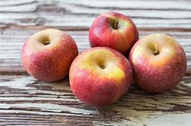 Image result for Hauer Pippin Apple