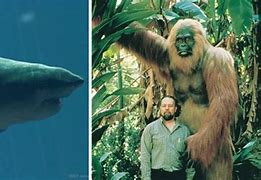 Image result for What Is the Biggest Creature On Earth