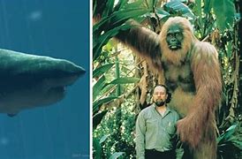 Image result for Biggest Animal in History
