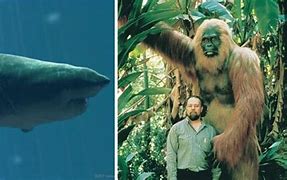 Image result for Biggest Animal in the World Scale