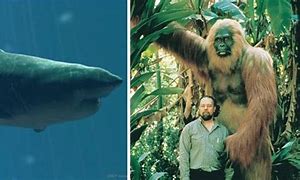 Image result for Largest Animal in the Real World