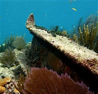 Image result for Artificial Reef Sunken Ship