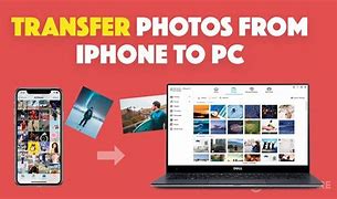 Image result for iPhone to PC Transfer Free