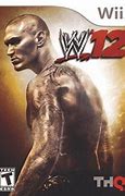 Image result for WWE 12-Inch Action Figures