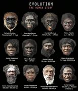 Image result for Humans 12 000 Years Ago