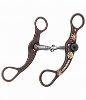 Image result for Snaffle Bit with Shanks
