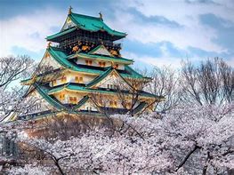 Image result for Osaka Castle December 4K