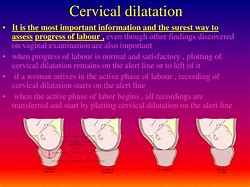 Image result for Cervical Dilation