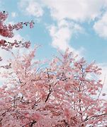 Image result for iPad Wallpaper Nature Spring