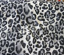 Image result for Grey Leopard Print
