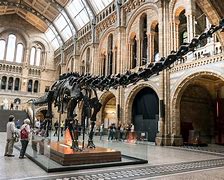 Image result for Dinosaur Robot in Natural History Museum