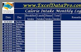 Image result for Excel Calorie Counter