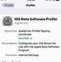 Image result for iOS 13 Beta Profile Download iPhone 6