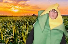 Image result for Corn Guy Meme