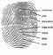 Image result for Fingerprint Reader Diagram