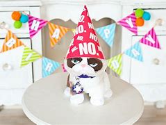 Image result for Grumpy Cat Party
