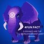 Image result for Amazing WTF Fun Facts