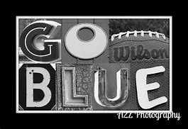 Image result for Funny Go Blue Michigan Logo