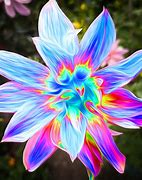 Image result for Psychedelic Flower Wallpaper